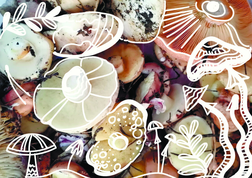 Наш урожай сегодня. )