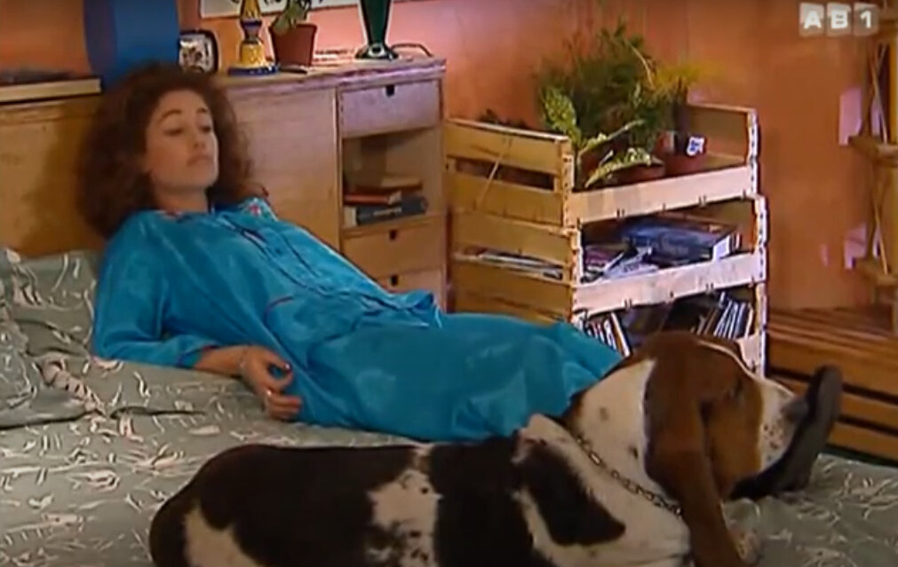 Лп и ее собака. Опрос какая порода собак мне подходит. Аня и ее собака ответы. Аня и ее собака ответы. Эйвон мэджик петс.