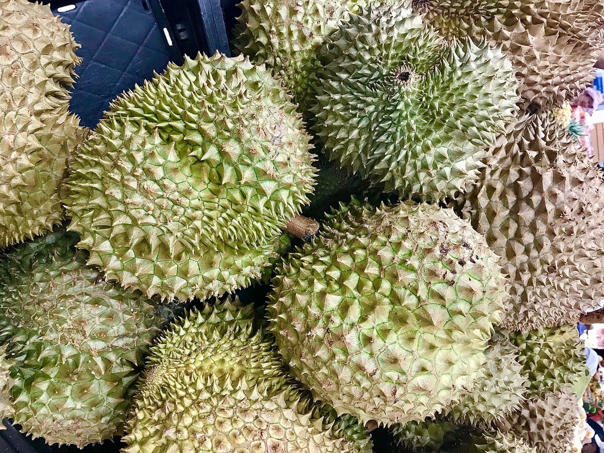 Дуриан. Фото автора.