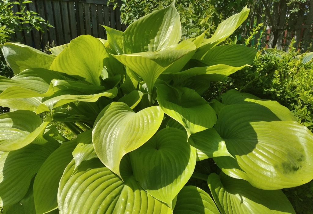 фото из личного архива автора