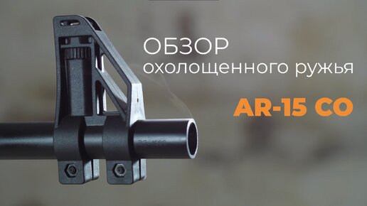 Винтовка AR-15 со