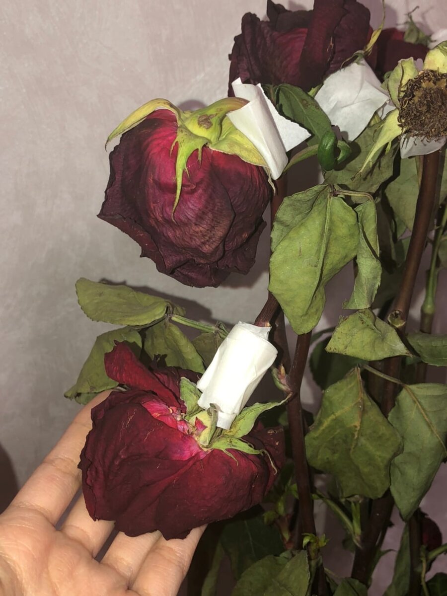 Не обращайте внимание на белый скотч, я пыталась их реанимировать с помощью него и палочек от суши.