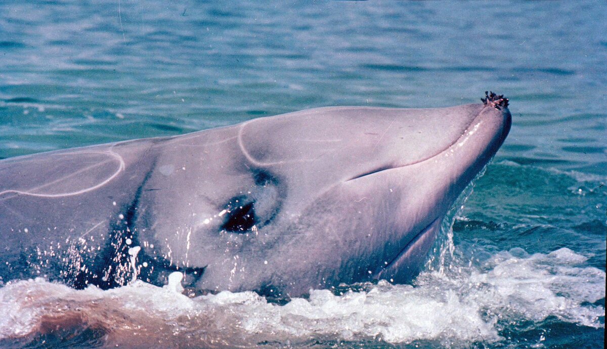 Источник: yandex.ru