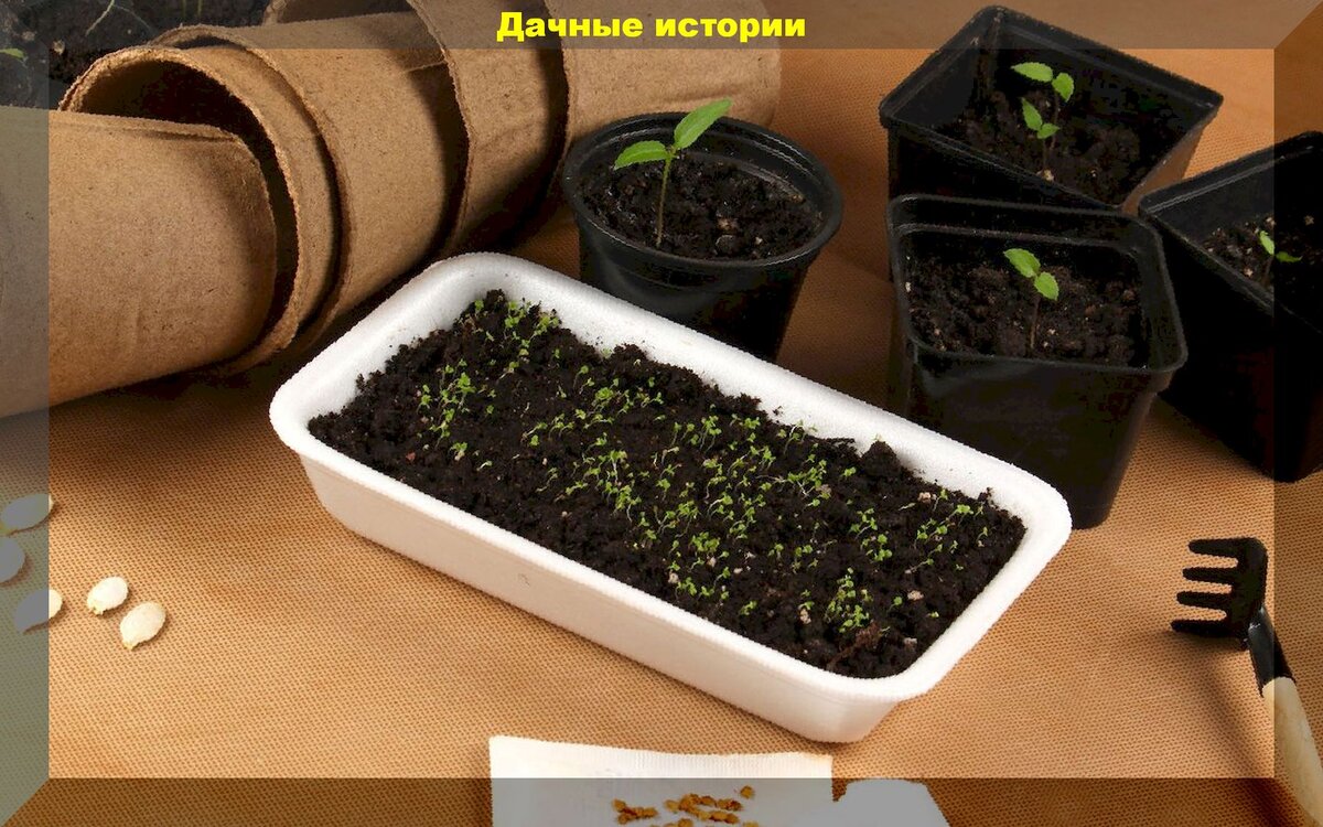 https://vk.com/album-159774511_260565669