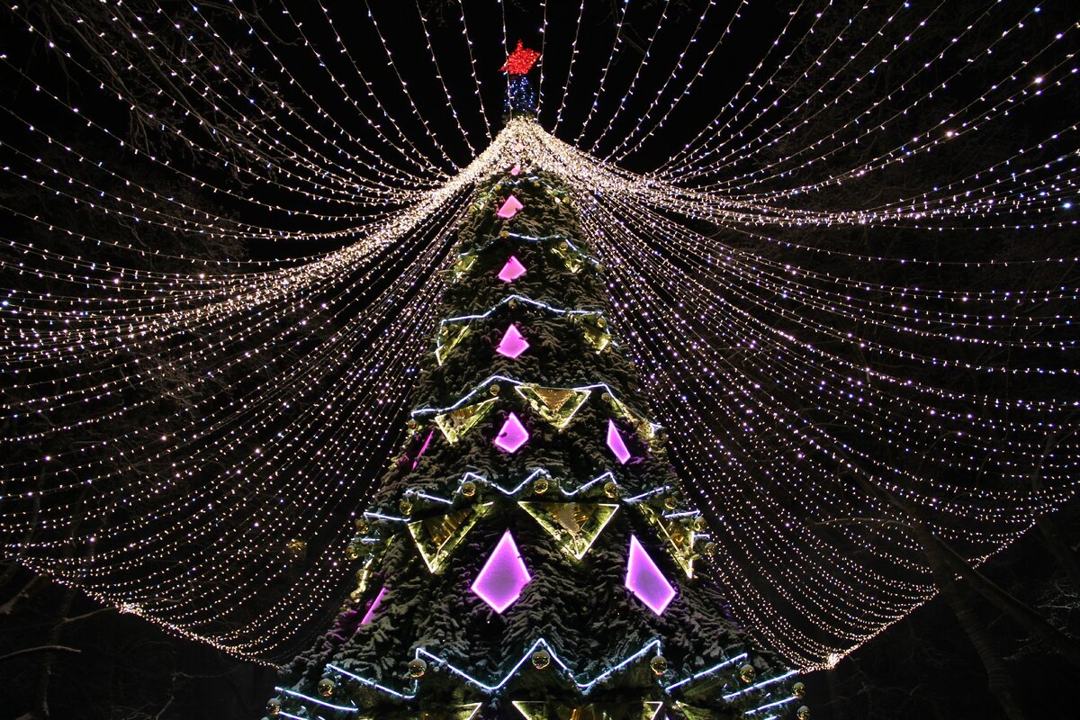 Ёлка в городском парке. Декабрь, 2020