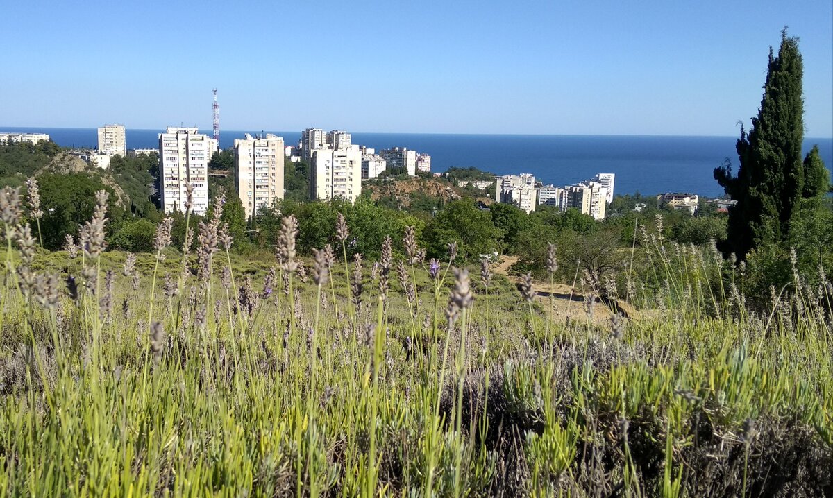 Вид на Партенит. Дальше нам вверх вдоль лавандового поля