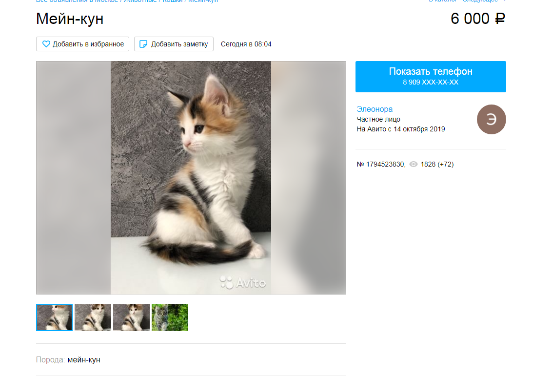 Это тоже не мейн-кун!
