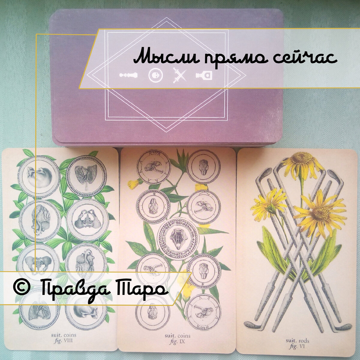 Онлайн расклад на отношения по Таро Античной Анатомии — Antique Anatomy Tarot