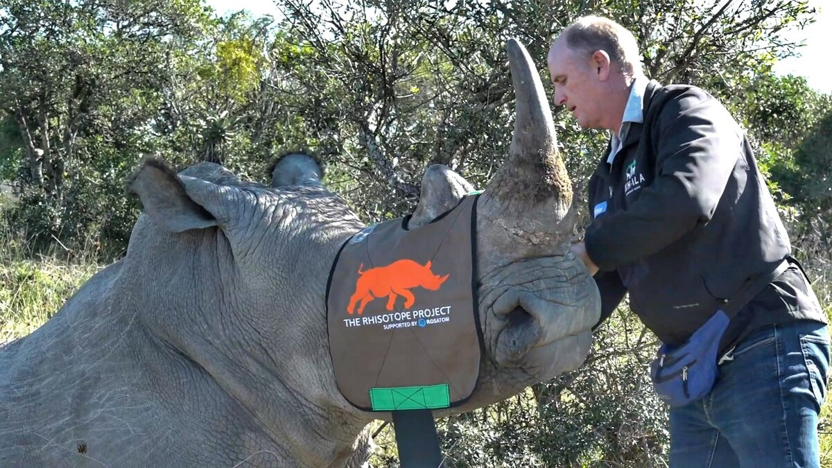 Главный ветеринар проекта Rhisotope доктор Уилльям Фоулдс 