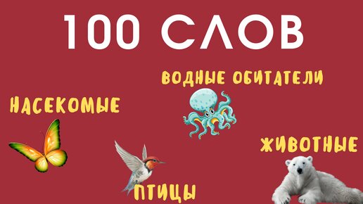 100 слов на английском с КАРТИНКАМИ, ТРАНСКРИПЦИЕЙ и ПЕРЕВОДОМ