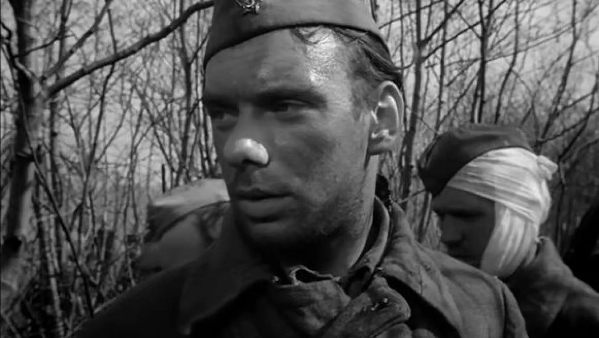 Посмотрел 