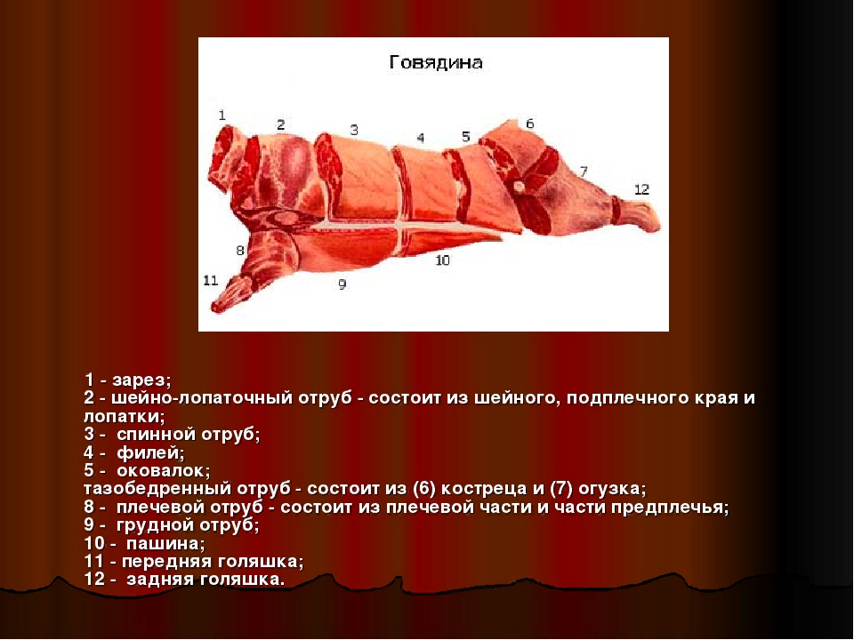 Что такое отруб в истории. Американская схема разделки говяжьей туши. Разделка говядины. Разделка говядины схема. Отруба говяжьей туши.