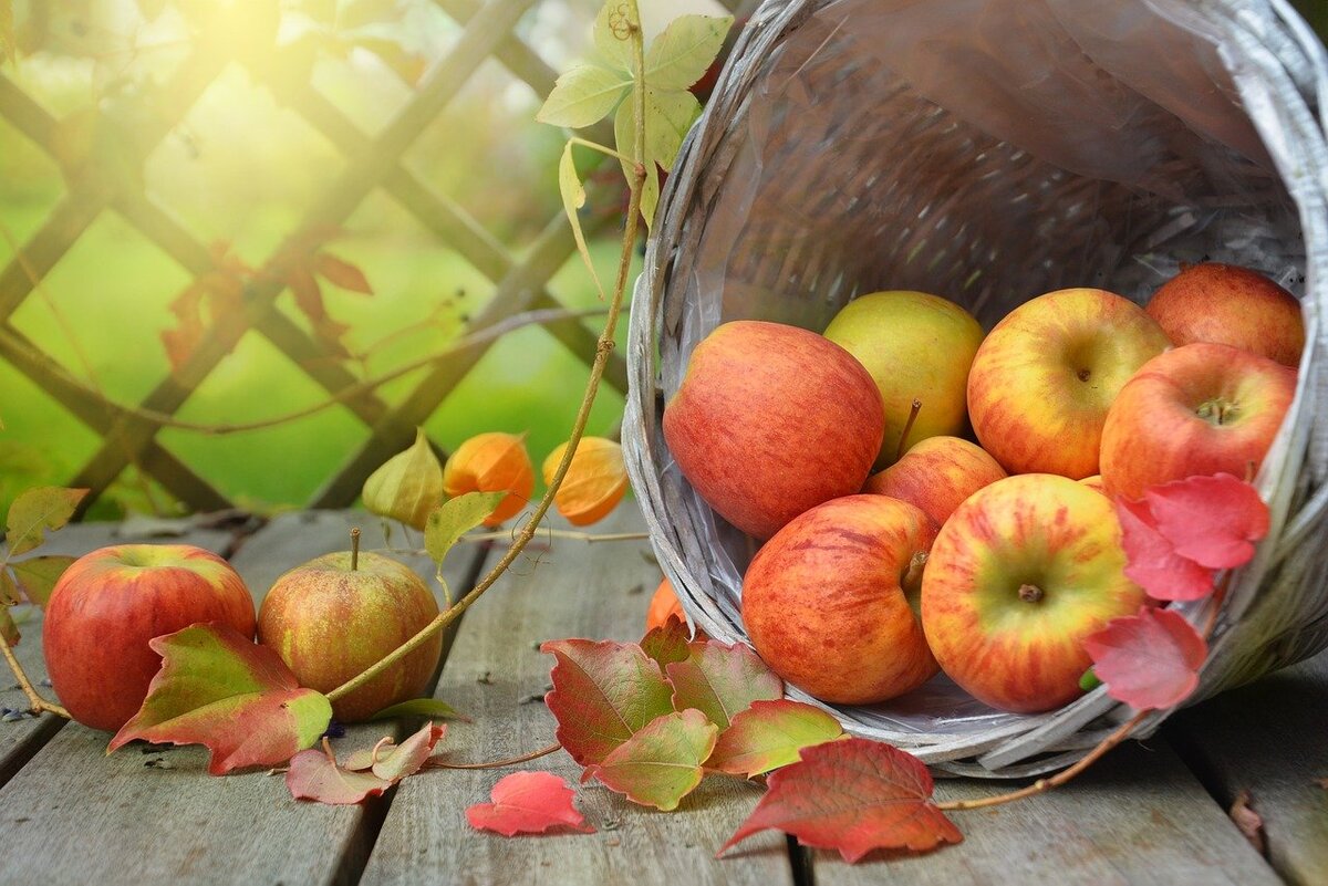 Фото: pixabay.com
