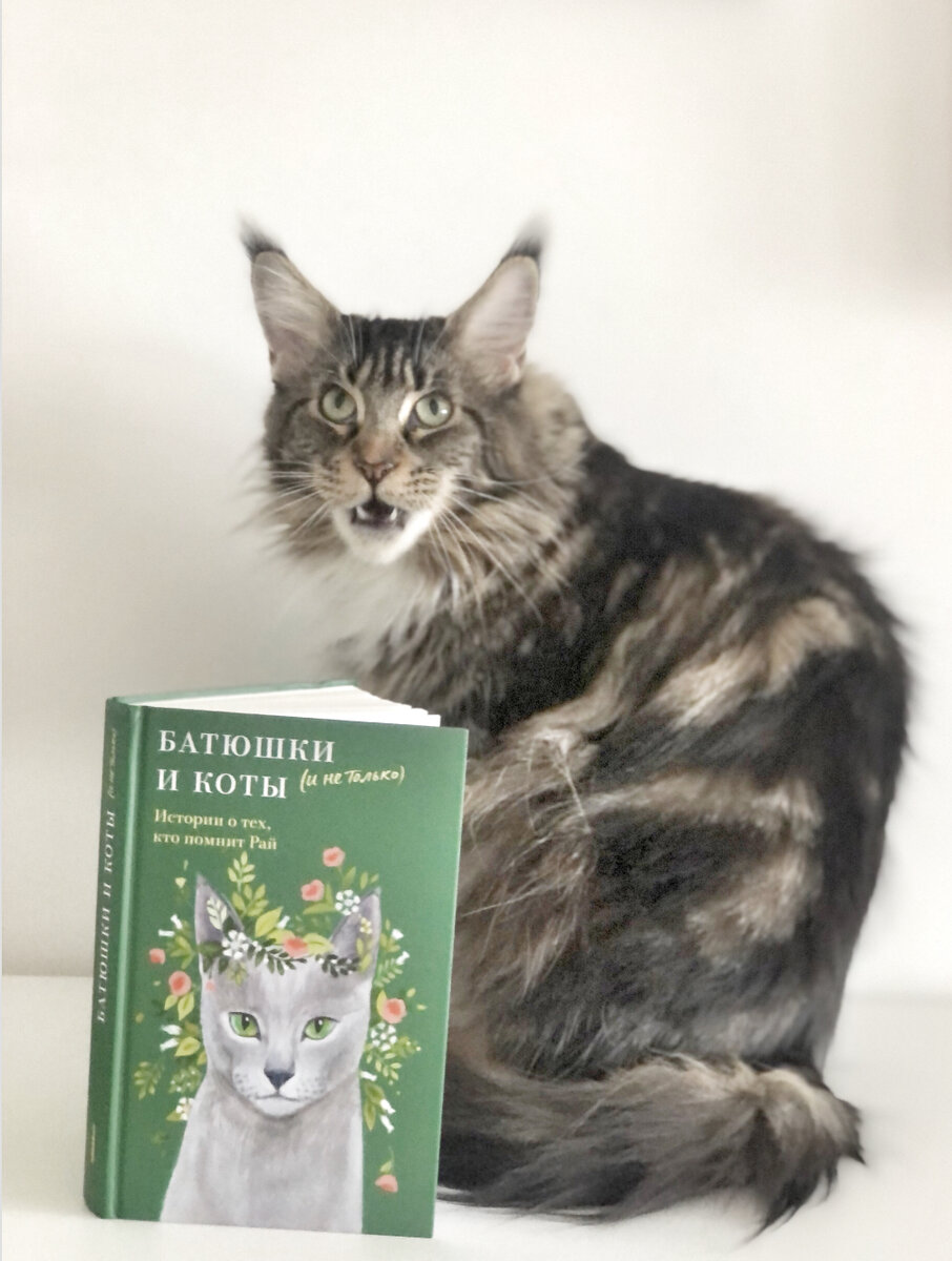 Лукас рекомендует. Иллюстрация на обложке Виктории Китавиной.