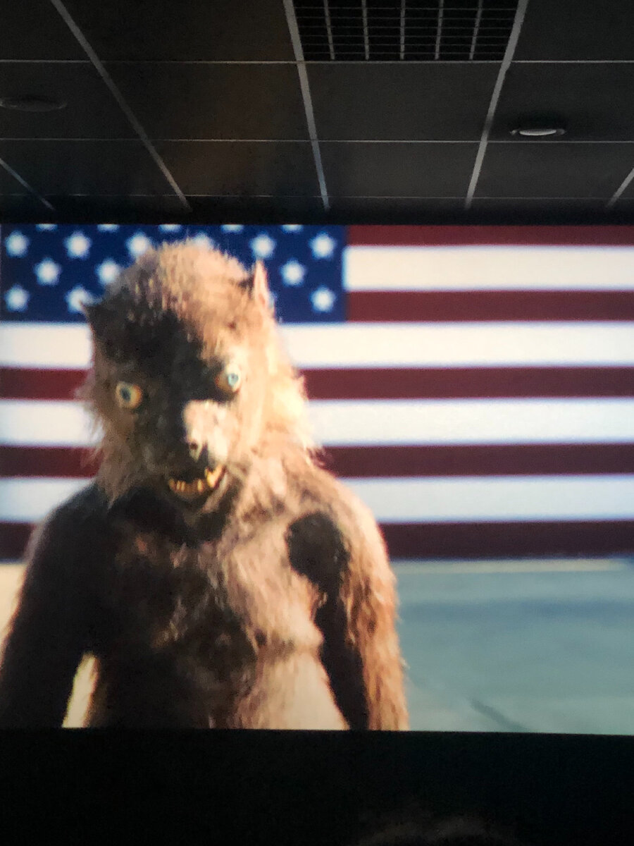 Просто лапочка) 