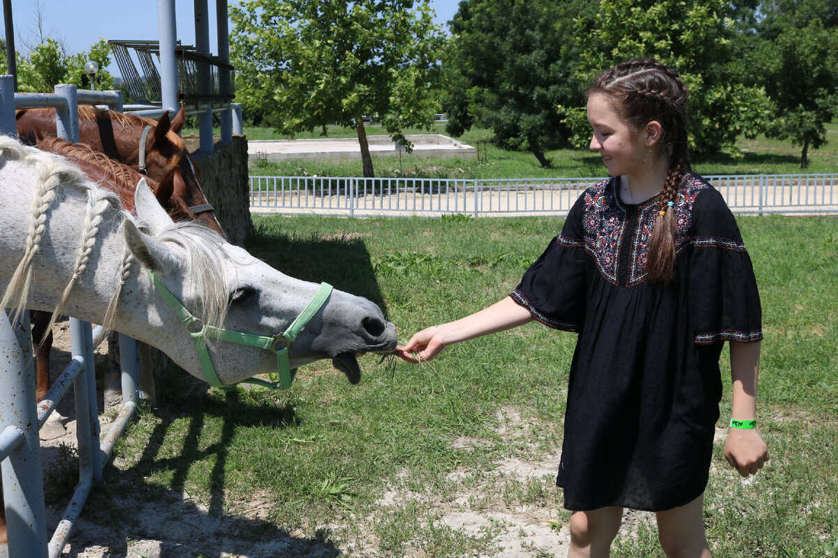 Парк живой природы Додо. Станица Натухаевская.  Фото: Art&Culture Яндекс. Дзен.