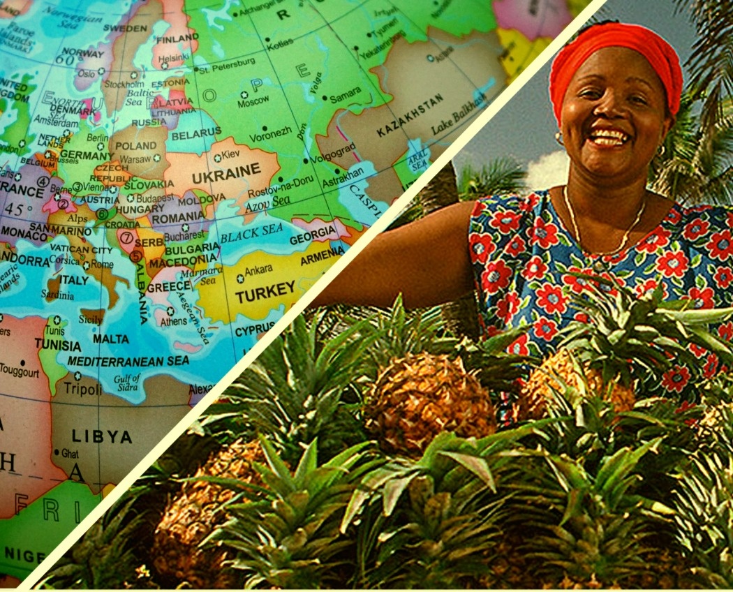 Коллаж автора из фотографий с pixabay.com и familytrustcapital.com/img/slides/flexslider/7.jpg (веселая продавщица ананасов).