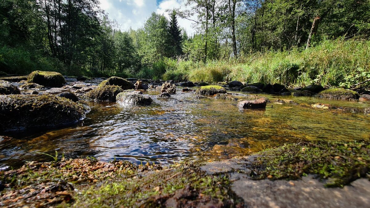 Река Рагуша Ленинградская область. Река Рагуша. Рагуша водопады. Река Рагуша Бокситогорский район.