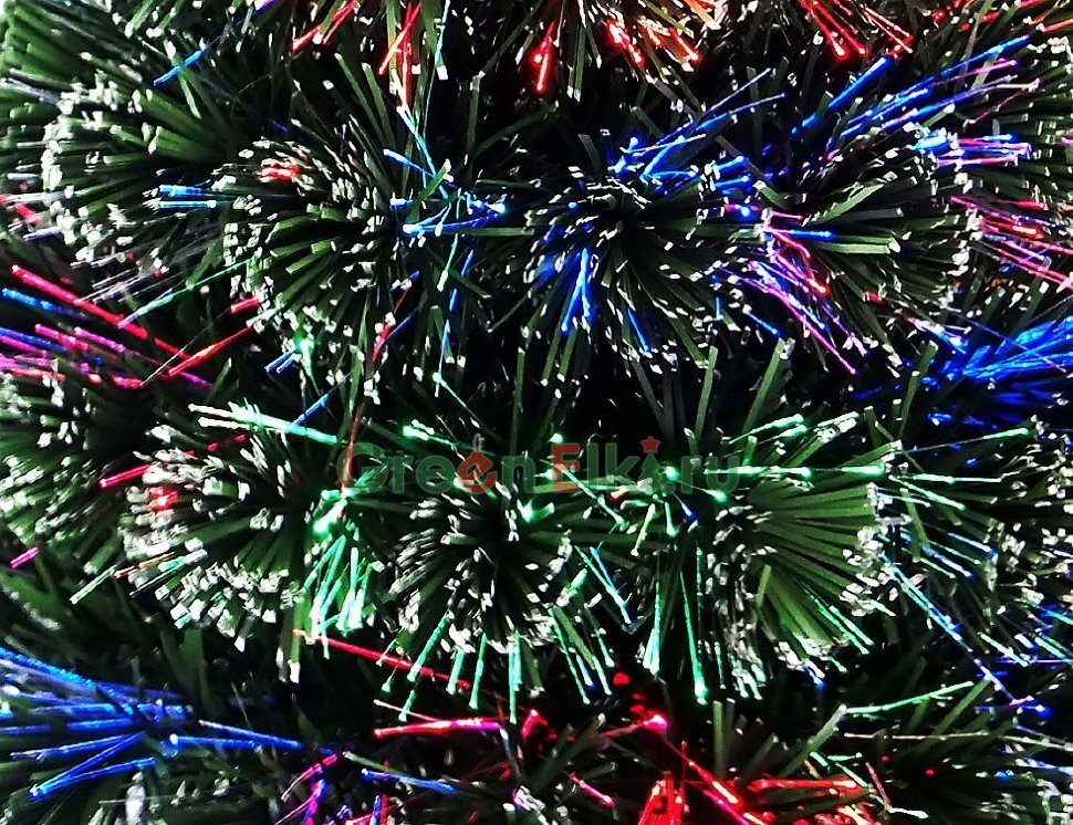 Фото: volgograd.greenelki.ru