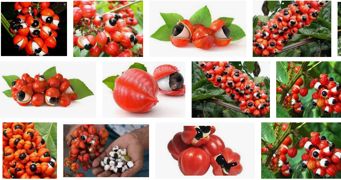 Миллион глаз