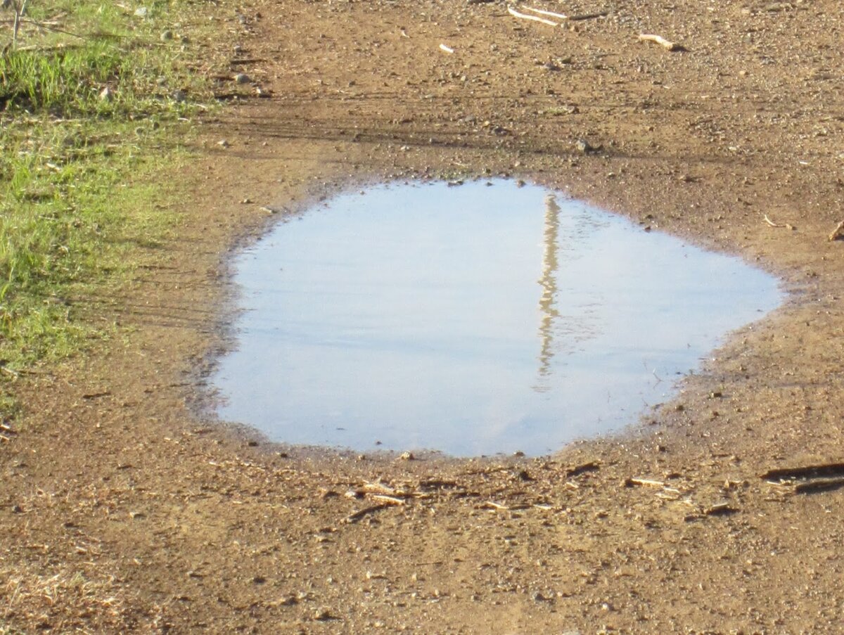 Нет, из лужи пить не будем