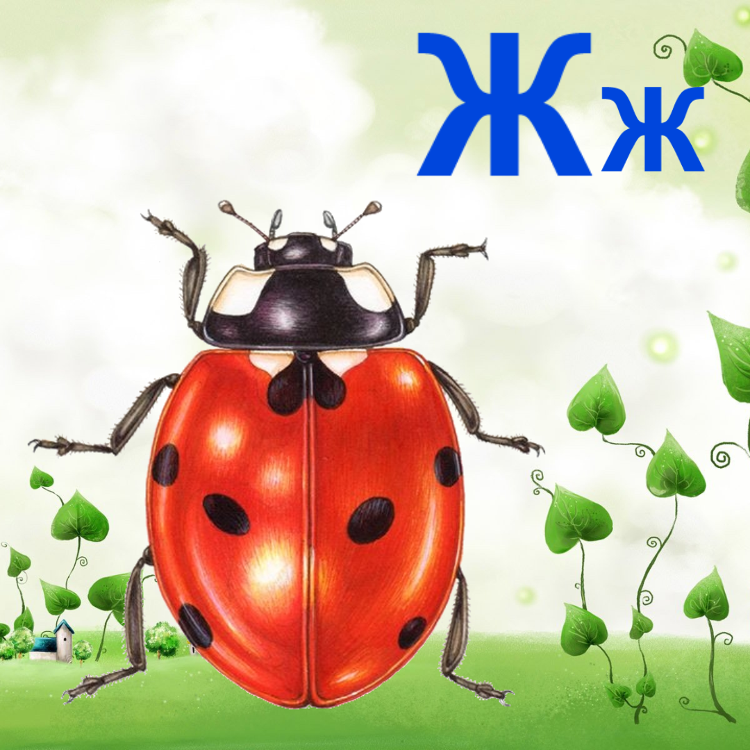 Буква Ж может быть такой.