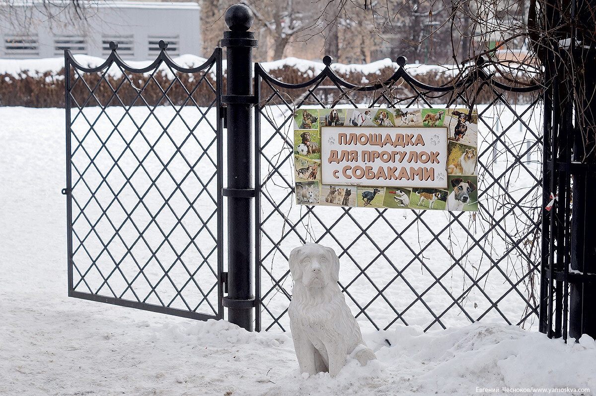 Город на память». 306. Комсомольский проспект (Большие Кочки) | Город на  память | Дзен