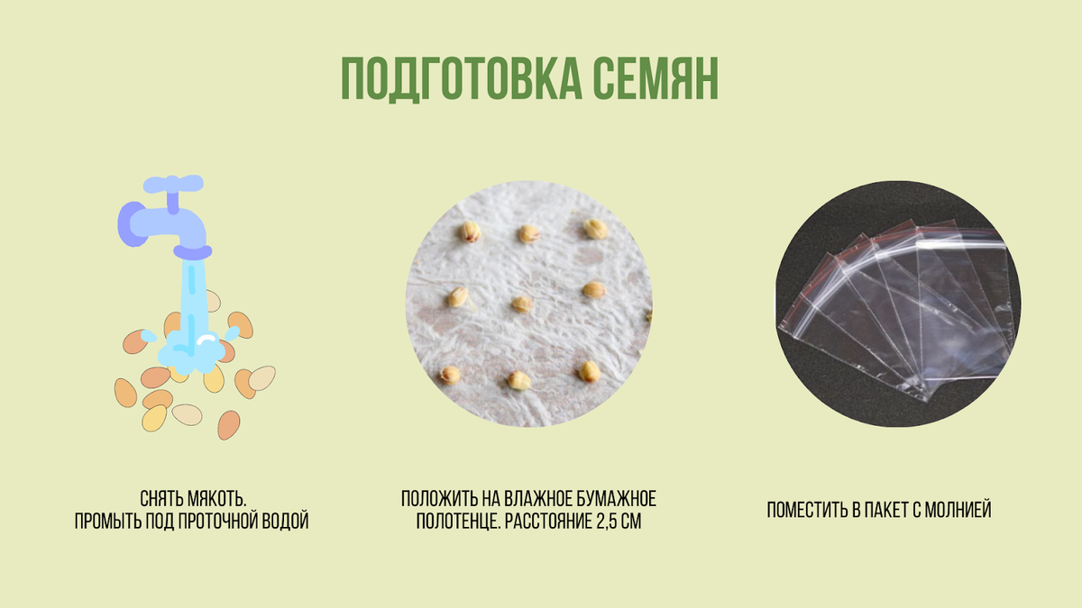 Стихи в одном файле-2 (Ольга Брагина) / pervomaiskiy.ru