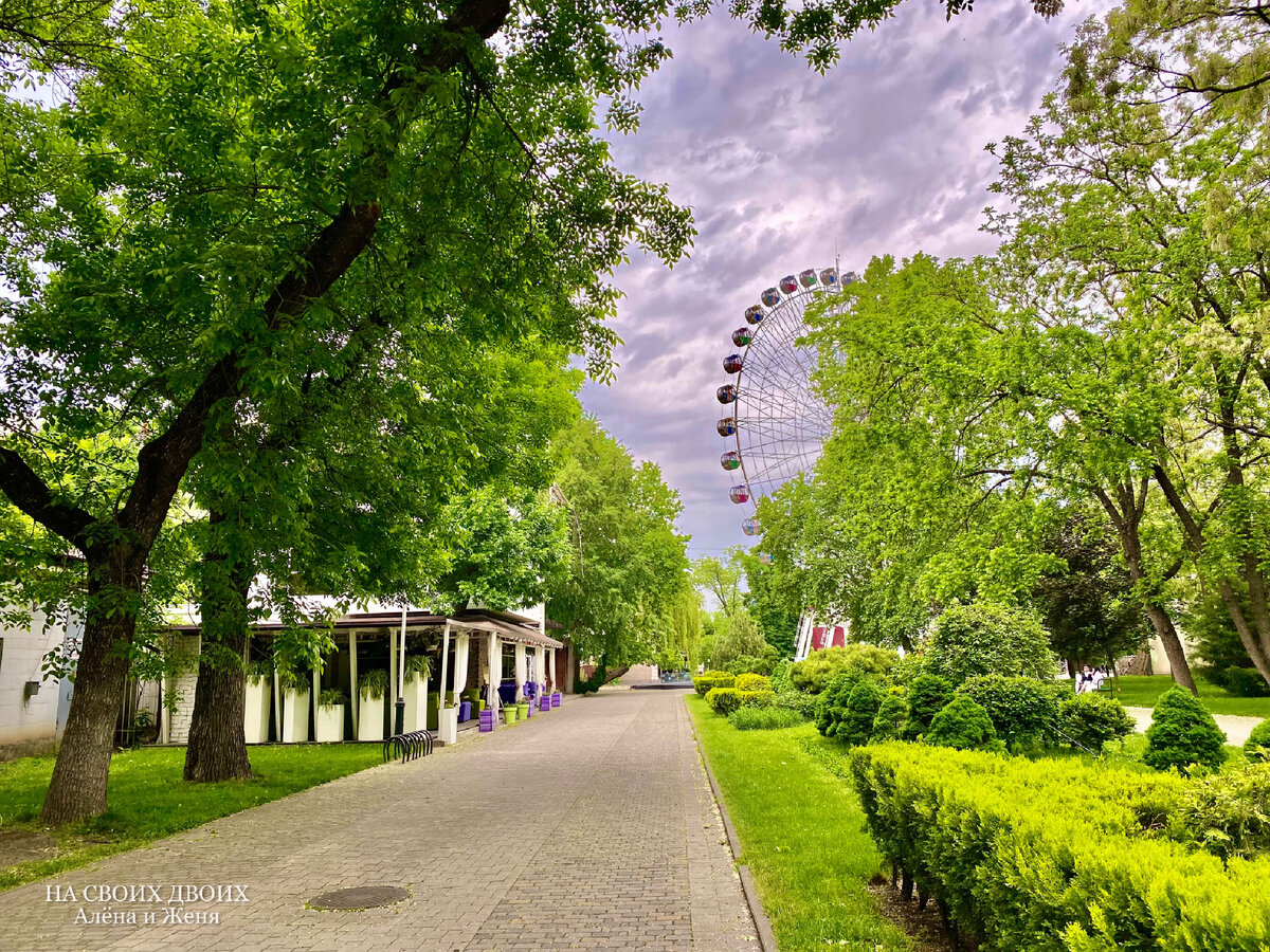 Парк горького в краснодаре фото