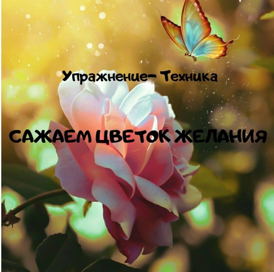 Ольга Шаганова 