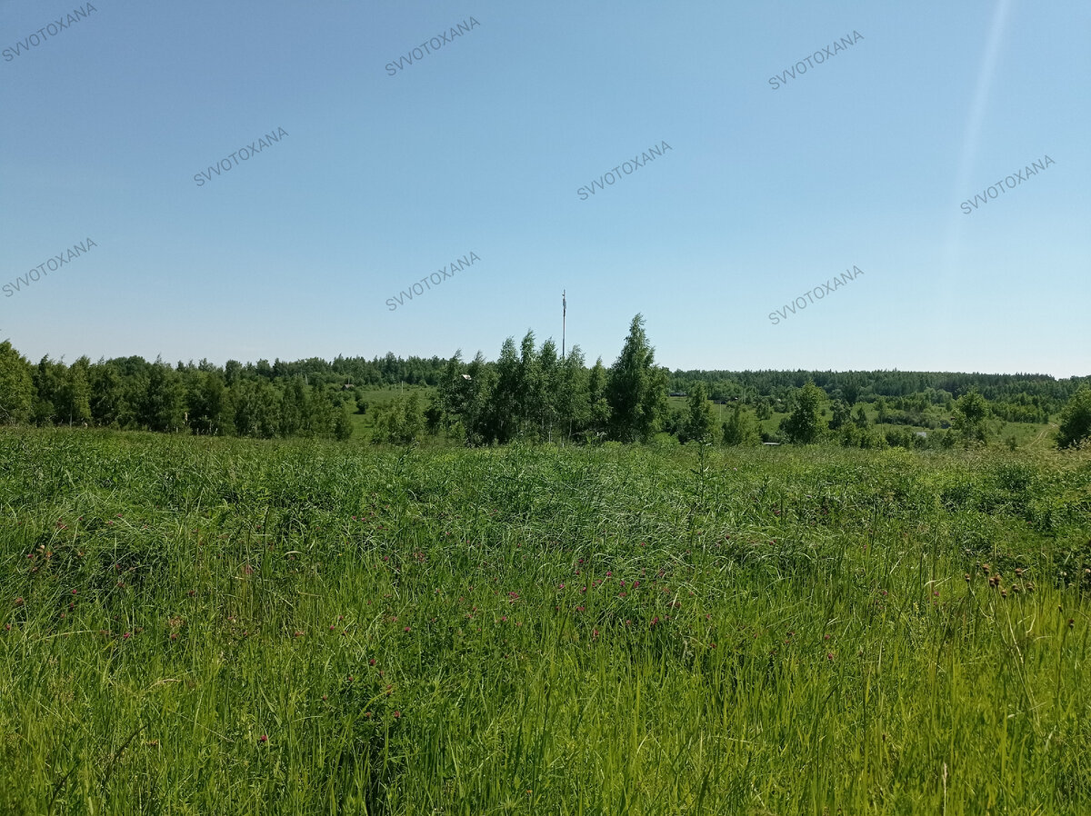 Процесс идëт