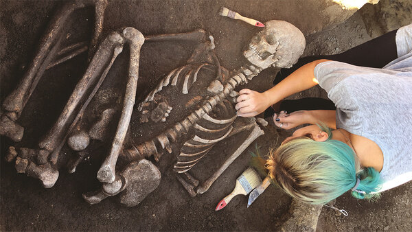 Обложка © Shutterstock