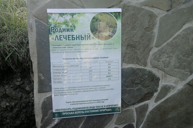 Фото: АиФ-Саратов/ Дмитрий Владимиров