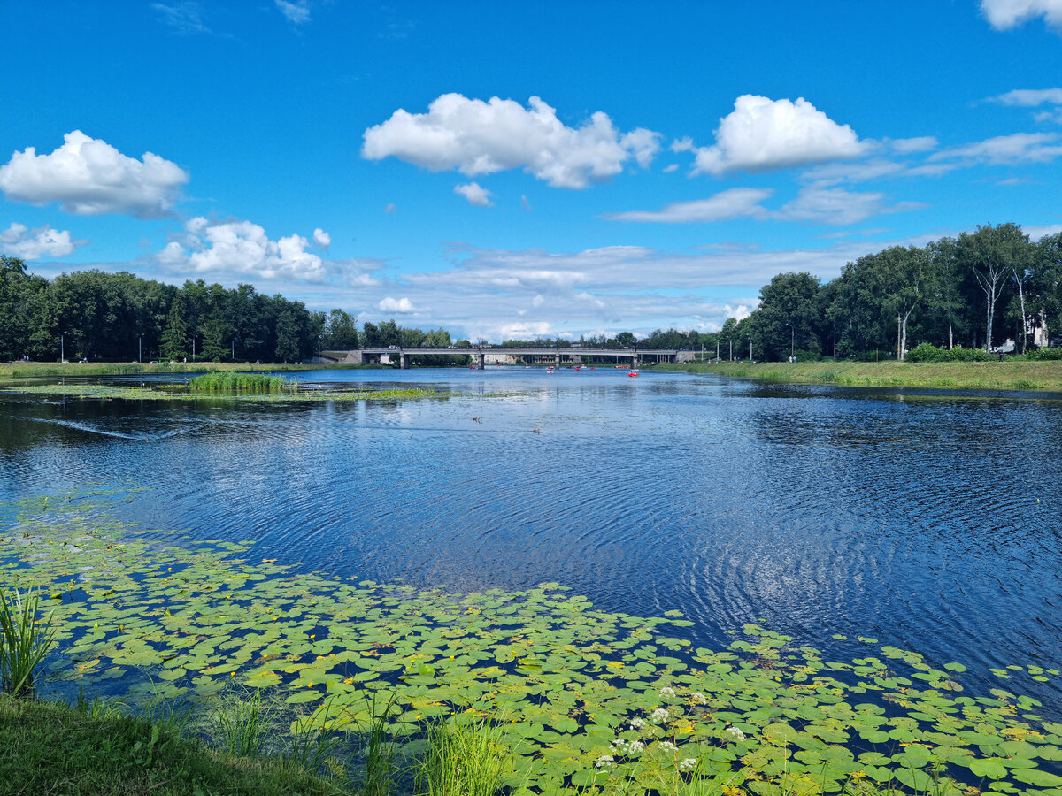 Вид на реку Ловоть из парка