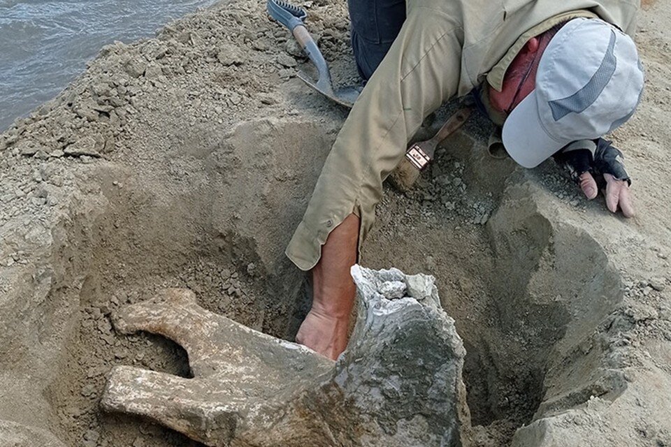     Экспедиция проходила в Белореченском районе. Фото: Южный научный центр РАН.