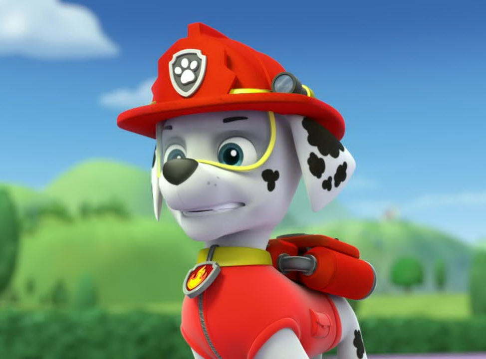 Щенячий патруль где маршал. Щенячий патруль. Маршал. Paw Patrol Маршал.