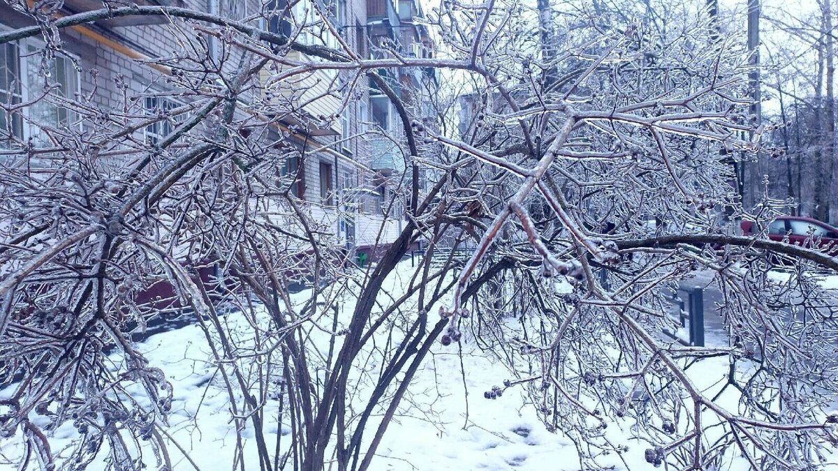     Более тысячи человек остаются без электроэнергии в Богородском округе. Они проживают в 18 населенных пунктах, рассказали в правительстве Нижегородской области.