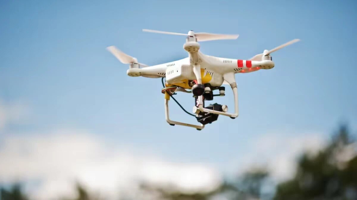 Фото: freepik.com