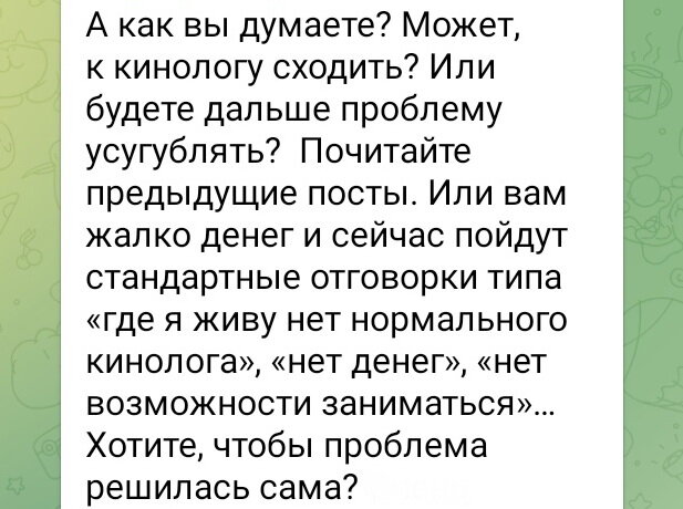 Фрагмент комментария под постом в Телеграм-канале "Кинология РКФ"