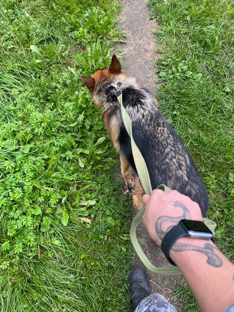 На прогулке с верным другом и товарищем