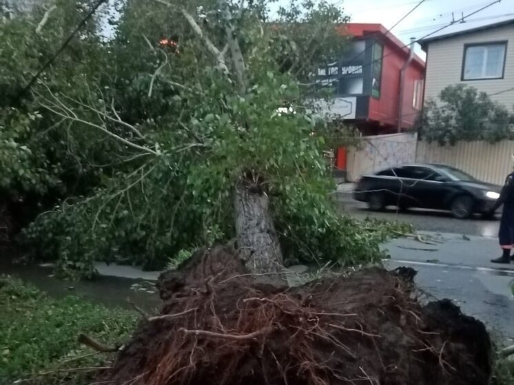 Новосибирск новости ураган