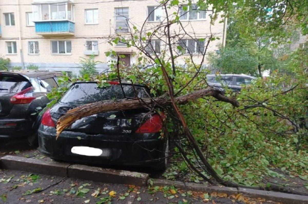    В трех районах Уфы сильный ветер повредил автомобили