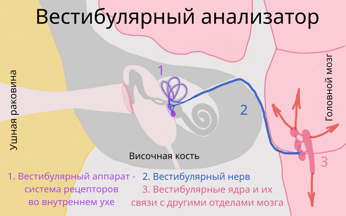 Авторский рисунок специально для вас;)