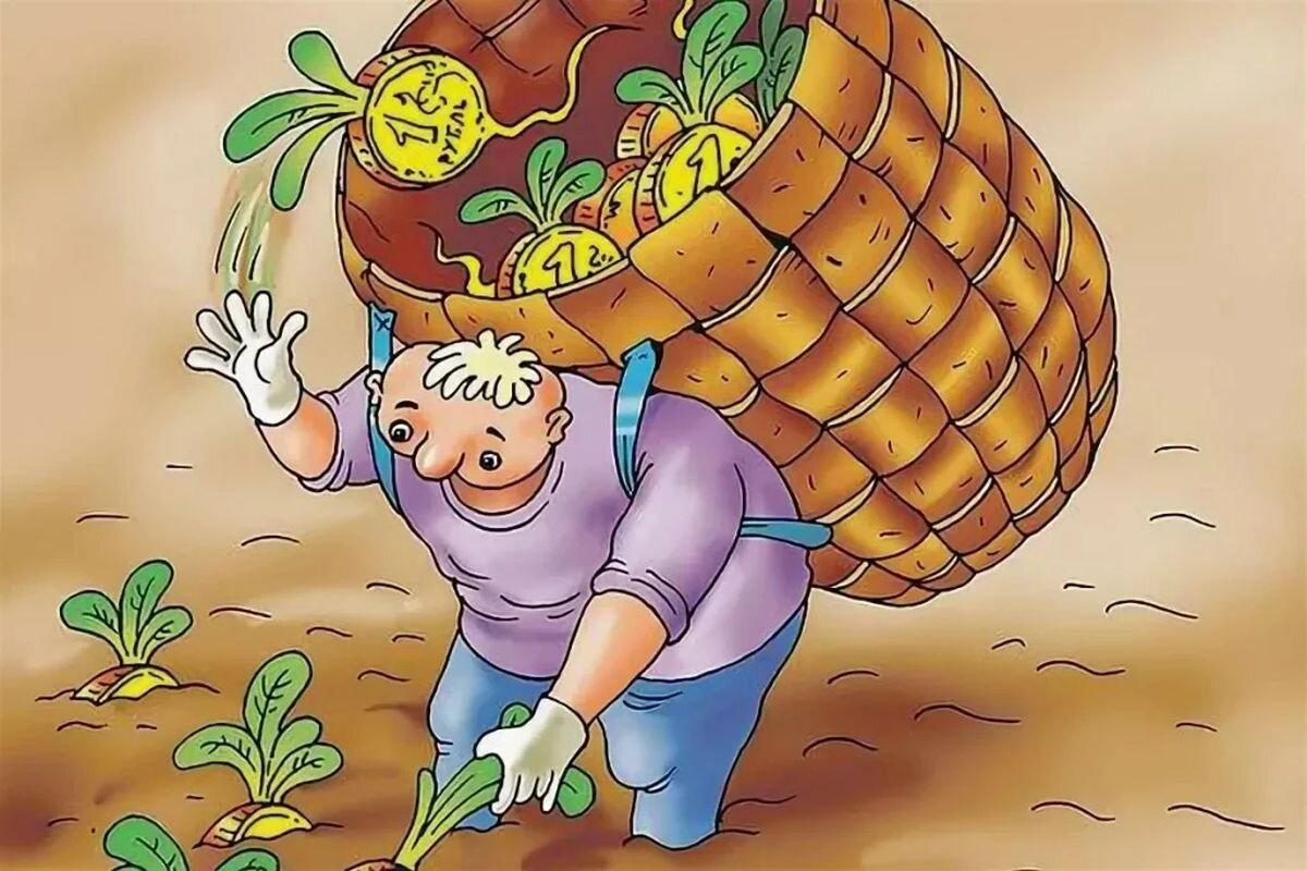 Пошел урожай. Огород урожай. Урожай карикатура. Богатый урожай. Сбор урожая овощей.