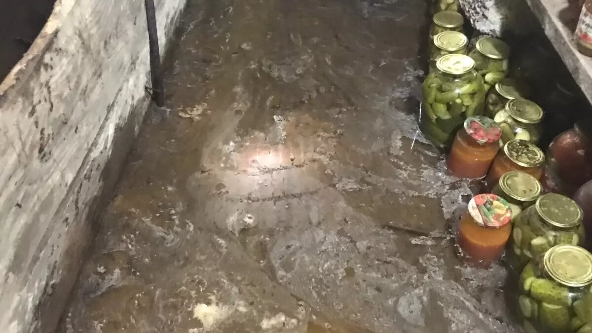     Из-за аварии на сетях «Водоканала» в Нижнекамске затопило погребы, где местные жители хранят урожай. Службы игнорировали проблему четыре дня — владельцам подвальных помещений пришлось самим придумывать, как спасать свои продукты. Подробнее — в материале Inkazan.
