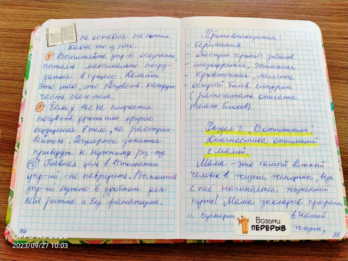 записывала все в тетрадь, чтобы потом можно было вернуться к главным моментам