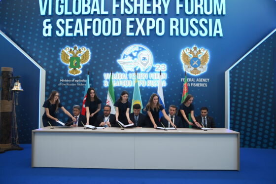     Фото: Expo Solutions Group