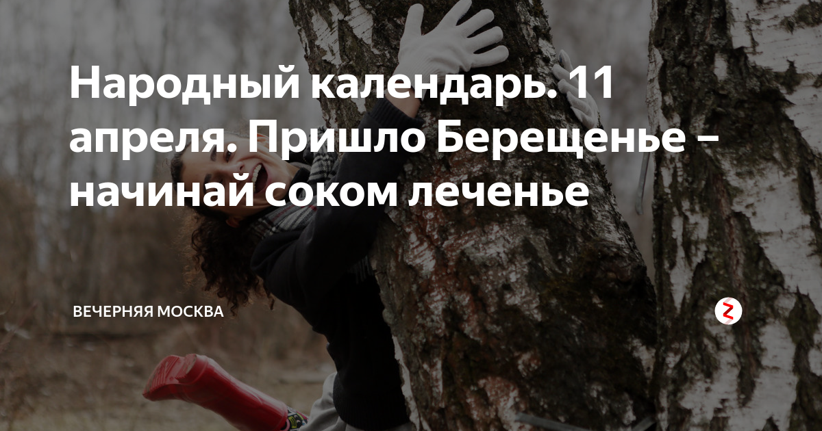 11 Апреля день березы. Берещенье 11 апреля. День березы 11 апреля Берещенье. 11 Апреля народный календарь.