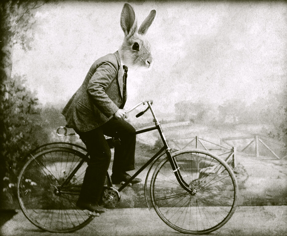  Шпион , который  приехал на  велосипеде  