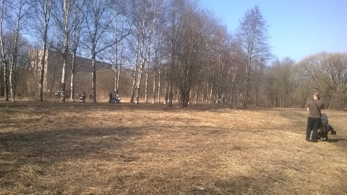 А народу там! Под каждым кустом или шашлык-машлык, или пикник, или собака